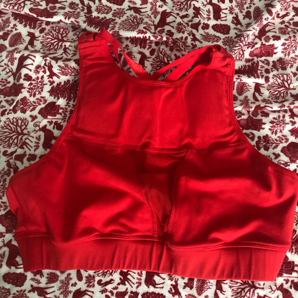 Chestee sports bra